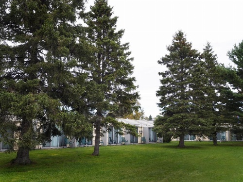 Ambassador Motel image 4
